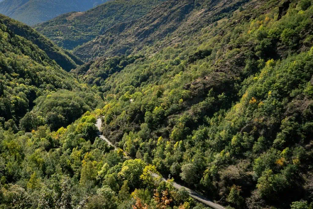 A winding road cuts through a lush, green valley surrounded by forested hills and mountains under clear sunlight, evoking the scenic beauty found along the Pyrenees High Route (HRP).