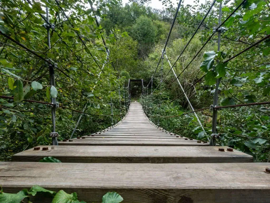 A wooden suspension bridge with metal cables stretches over dense green foliage along the Pyrenees High Route, leading into a forested area. The bridge appears slightly curved and narrow, surrounded by lush vegetation—perfect for an HRP photo gallery.