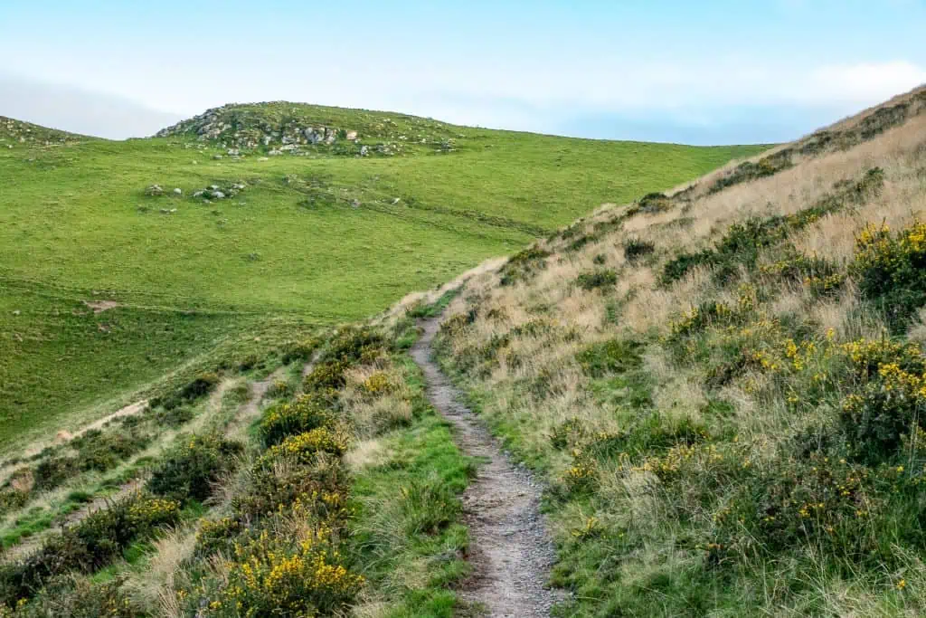 A narrow dirt path winds through grassy hills covered in green vegetation and yellow wildflowers under a blue sky with light clouds. Rocky outcrops are visible on a distant hilltop.