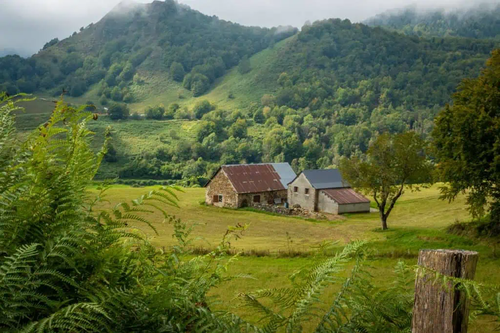 Two rustic stone barns with metal roofs sit in a lush green valley surrounded by trees and hills, with ferns in the foreground and misty mountains in the background.